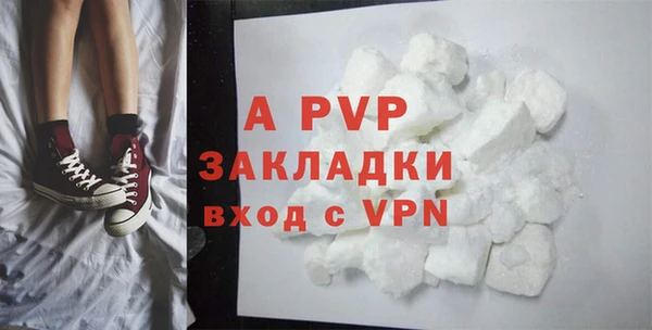 ПСИЛОЦИБИНОВЫЕ ГРИБЫ Инта