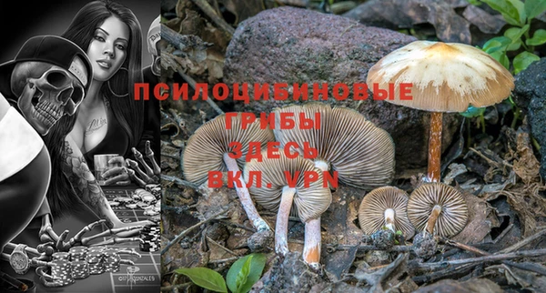 кокаин колумбия Инсар