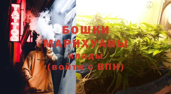 ПСИЛОЦИБИНОВЫЕ ГРИБЫ Инта