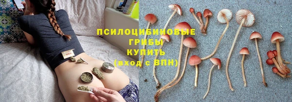 ПСИЛОЦИБИНОВЫЕ ГРИБЫ Инта