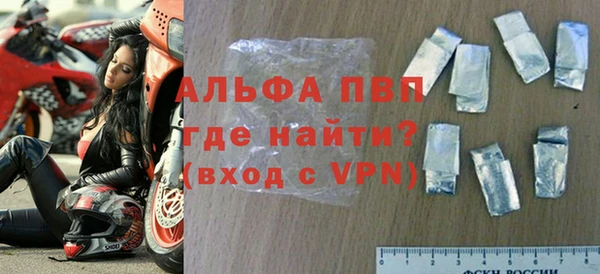 ПСИЛОЦИБИНОВЫЕ ГРИБЫ Инта