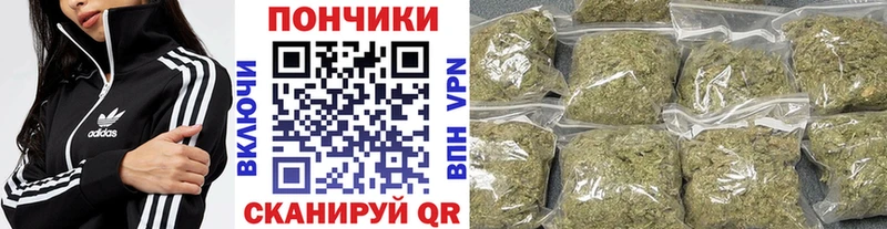 Купить закладки  Иннополис  Конопля SATIVA & INDICA 
